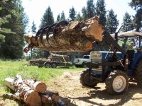 firewood 2013 005.jpg