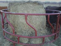 hayring-1.jpg