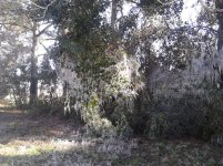 ForumRunner_20140108_110848.jpg