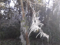 ForumRunner_20140108_110902.png