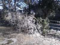 ForumRunner_20140108_110944.jpg