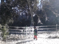 ForumRunner_20140108_111004.png