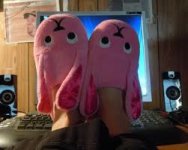 pinkslipper.jpg