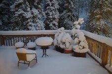 Snow 4-14-14.jpg