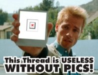 This_thread_is_worthless_without_pictures 2.jpg