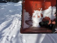 Bucket3.JPG