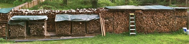 IMG_0081.jpg