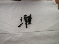 Clutch fragments 002.JPG