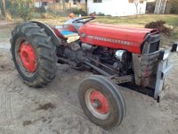 Massey Ferguson 135.JPG Massey Ferguson 135.JPG