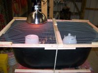 Duckling Home Water Trough 2.jpg