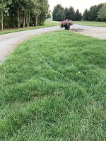 IMG_4935.jpeg IMG_4935.jpeg