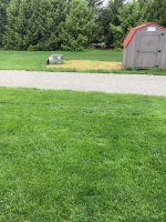 IMG_5912.jpeg IMG_5912.jpeg