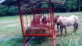 WP_20130902_011.jpg