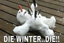 Die Winter.jpg