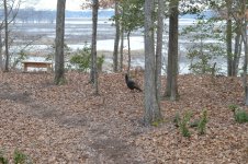 DSC_0493.jpg
