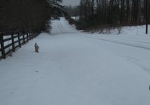Img_1230.jpg
