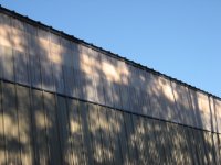 IMG_6802.JPG