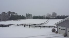 snow.jpg
