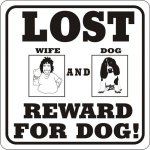 dog.jpg