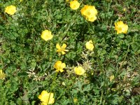 DSCN0293.JPG