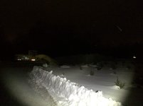 IMG_2445.jpg