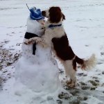 Bryce and Friend 2 2 14.jpg