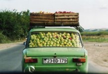 apples.jpg
