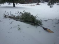 20140303_084434.jpg