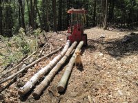 Logging Buddy.jpg
