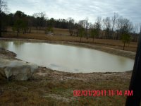 small pond 2-1-2011 003.JPG