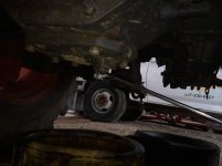 IMG_3703[1].jpg