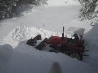 Snow 2013.jpg