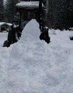 Rhino snow day 004.JPG