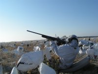 spring goose hunt 2009 021.jpg