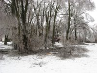 IMG_1050.JPG