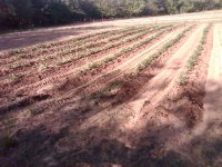 IMG-20140512-00176.jpg