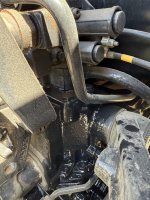 IMG_3509.jpeg