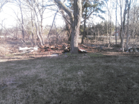 ForumRunner_20140420_113041.png