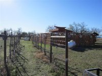 Grapes-VSP-1.JPG