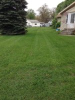lawn.JPG