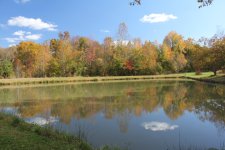 IMG_2606.JPG