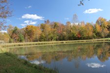 IMG_2608.JPG