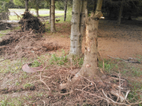 ForumRunner_20140515_163241.png