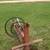 00H0H_35UWIHwm4i7_50x50c.jpg