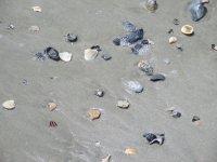 IMG_0180.JPG