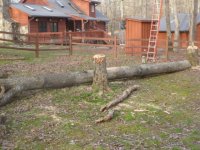Timberjack Photos 04-06-2013 043.jpg