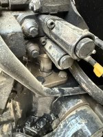 IMG_3576.jpeg