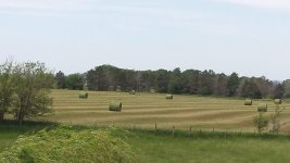 20140613_124730.jpg 20140613_124730.jpg