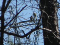 DSCN3878.jpg