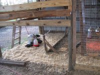 3-29-14 Duck Cage Expanded.jpg